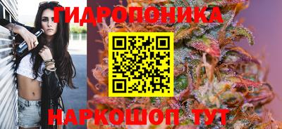 сатива Кимры