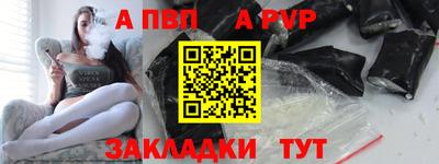 ешки Кингисепп