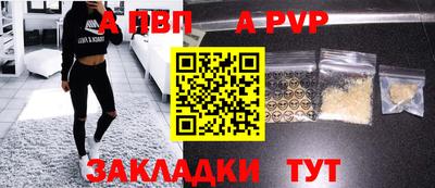 ешки Кингисепп
