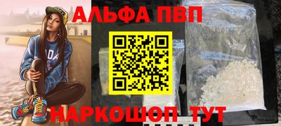 ешки Кингисепп