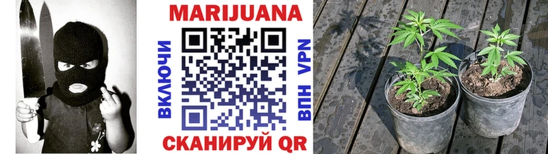 MEGA ТОР  Биробиджан  Конопля семена 